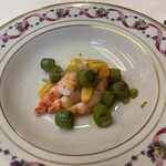 ペレグリーノ - 