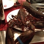 石やま - 生きてますo(^▽^)o