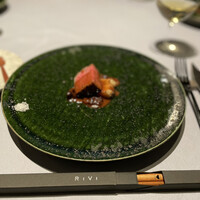 RiVi - 