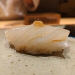 鮨 さいとう - アオリイカ