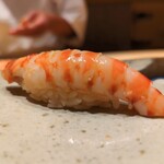 鮨 さいとう - 車海老