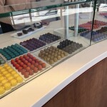 Christopher Elbow Chocolates - 