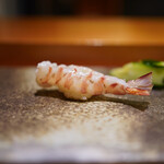 天寿し - 4.半茹での車海老