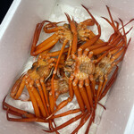 境港水産物直売センター - 紅ズワイガニ