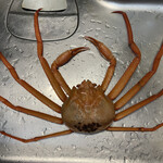 境港水産物直売センター - カニ様