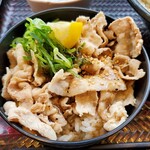 Hanamaru Udon - ミニ塩豚丼