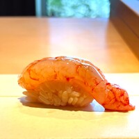 鮨 小野 - 縞海老 昆布〆