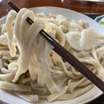 手打ち・つけ汁 うどん処 てる井 - 