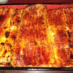 Unagi Fukushima - 