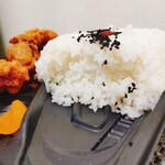 メガ盛りマンモス弁当 - 