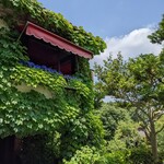 赤い屋根 - 若々しい青葉な目に眩しく