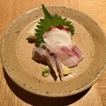Kotaro - お造り：釣り鯵 石鯛 真蛸 少しのシャリ