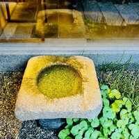 木山 - ◎入り口の水鉢が涼しさを感じる。