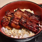 うなぎのうな泰 - うな丼特盛