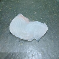 鮨処 やまと - 