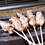 てんやわんや - せせり