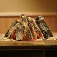 鳥匠いし井ひな - 