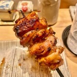 鳥しき - 2022.5.  アキレス腱