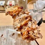 鳥しき - 2022.5.  かっぱ