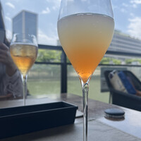 スミレオオサカ -  スミレオオサカ -