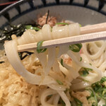 備中手打ちうどん　おおにし - なかなかの艶々感