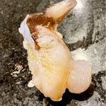 寿司・割烹 鈴政 - 