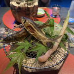 青山 星のなる木 - 