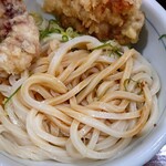 トウキョウライトブルー ホンゴウスリー - 