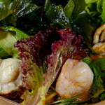 Canal terrace 天王洲 - 海鮮サラダ