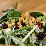 Canal terrace 天王洲 - シーザーサラダ