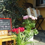 コウラボシ - 亀の置物がたくさん