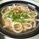 Fujimi Udon - 