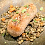 ピッコラトラットリア アニュ - 自家製サルシッチャとレンズマメの煮込み