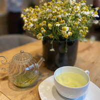 NeMo - カモミールのハーブティー(フレッシュ)