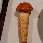 カハラ - ナメコ