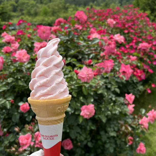 紫波ローズガーデン &ndash; 紫波中央の絶品ソフトクリームとくつろぎ空間