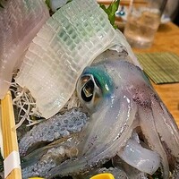 対馬のどぐろとイカ活き造り 博多 魚蔵 都ホテル店 - 