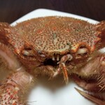 鮮魚 魚心 - 料理写真:毛蟹（顔）