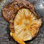 炭火焼鳥専門店 陽の鶏 - 
