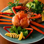 Red Snow Crab (Medium)