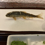 京都祇園 天ぷら八坂圓堂 - 