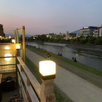 先斗町 四季 よし菜 - 