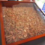 プレゼンテ スギ - 