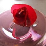 プレゼンテ スギ - GV鰹（中落ちとフランボワーズでGVした鰹、ビーツのピクルス、水切りした自家製ヨーグルト）