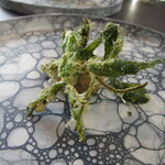 プレゼンテ スギ - ニワトコのフリットと烏賊の塩辛（山の風味）