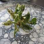 プレゼンテ スギ - ニワトコのフリットと烏賊の塩辛（山の風味）