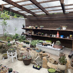 カフェ&ダイニング てんてん - 