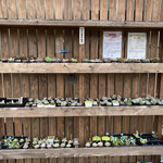 カフェ&ダイニング てんてん - 