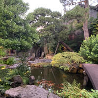 御料理ふじ居 - 