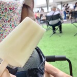 MAISON CACAO - アイスキャンディー